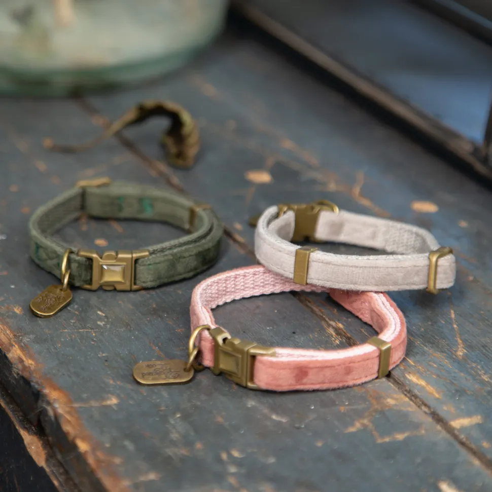 Designed by Lotte Kattenhalsband Velura
