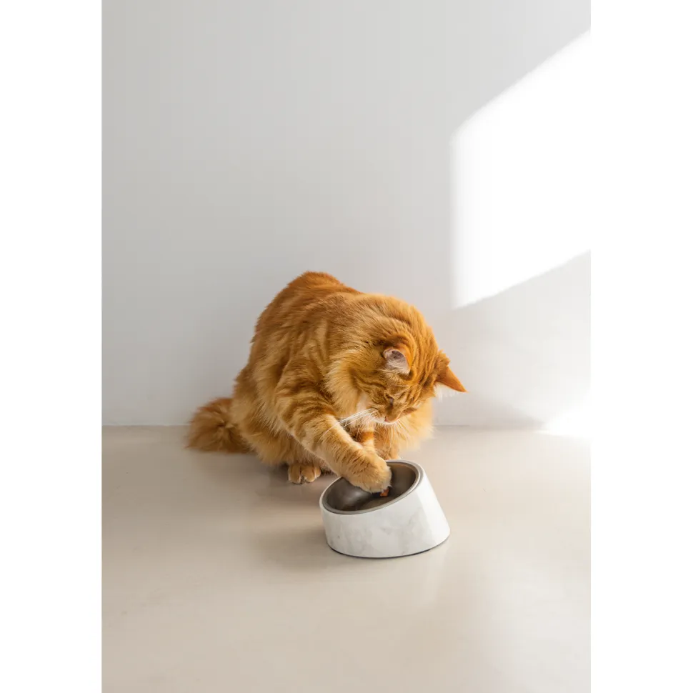 Designed by Lotte Kattenvoerbak Vita