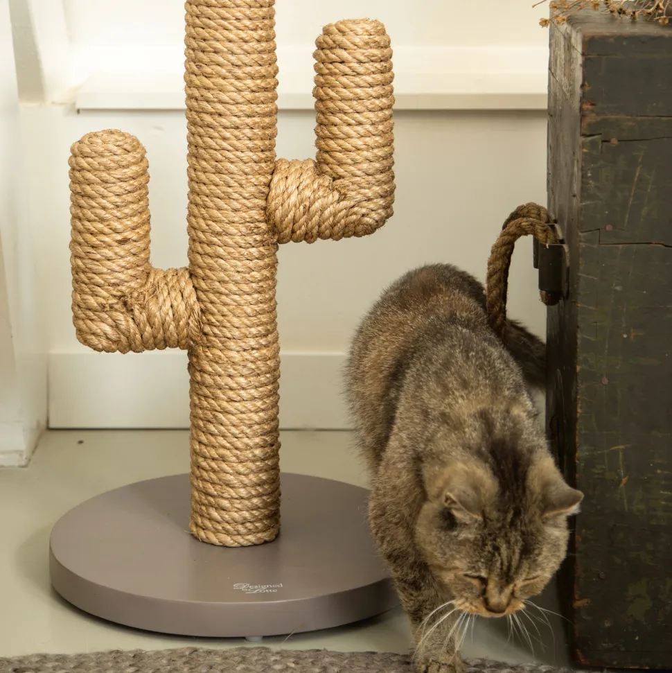 Designed by Lotte Krabpaal Cactus