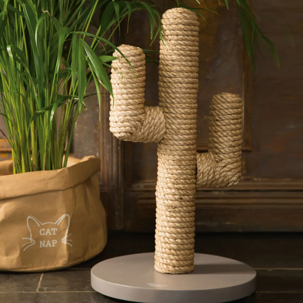 Designed by Lotte Krabpaal Cactus