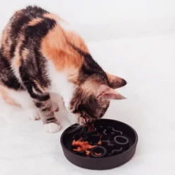 District 70 BAMBOO Cat Slow Feeder