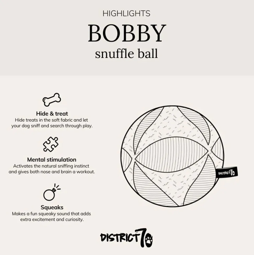 District 70 Bobby Snuffle Ball