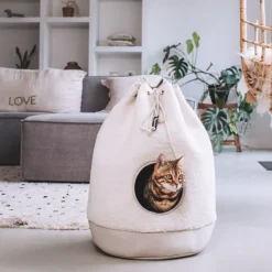 District 70 - Casa Teddy Kattenhuisje