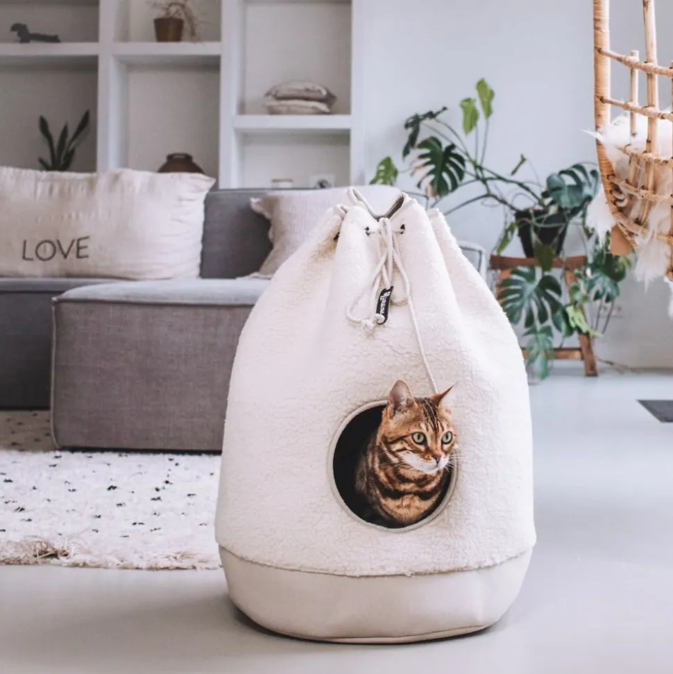 District 70 - Casa Teddy Kattenhuisje