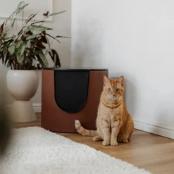 District 70 Fuse Design Kattenbak