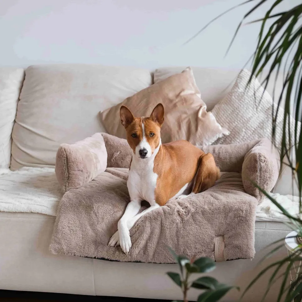 District 70 Nuzzle Sofa Bed
