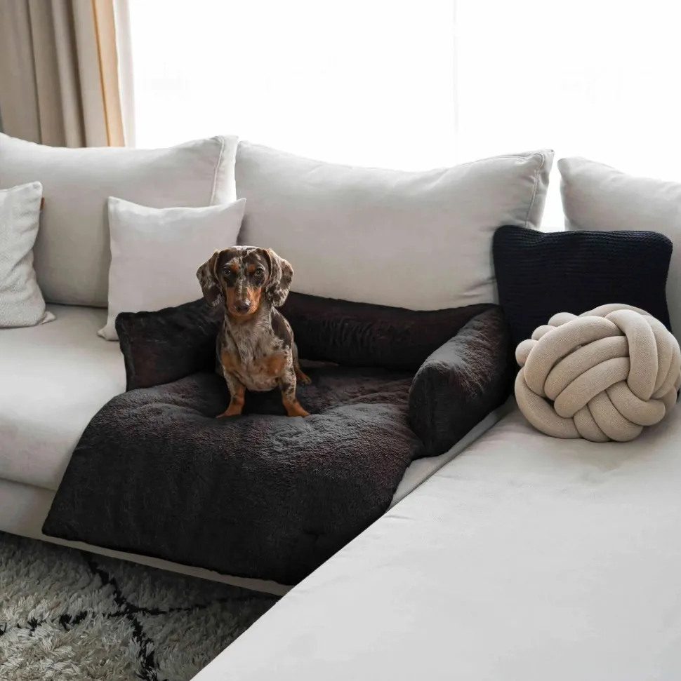 District 70 Nuzzle Sofa Bed