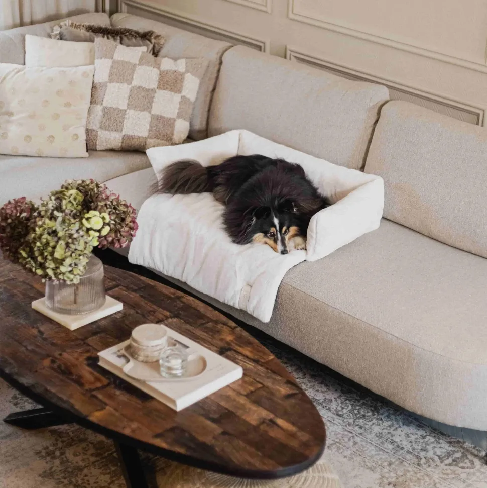 District 70 Nuzzle Sofa Bed