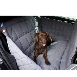 Doctor Bark Car Seat Blanket