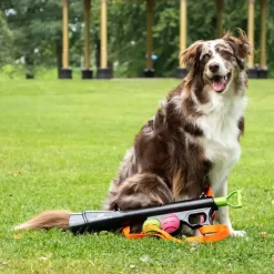 Dog Comets Launcher