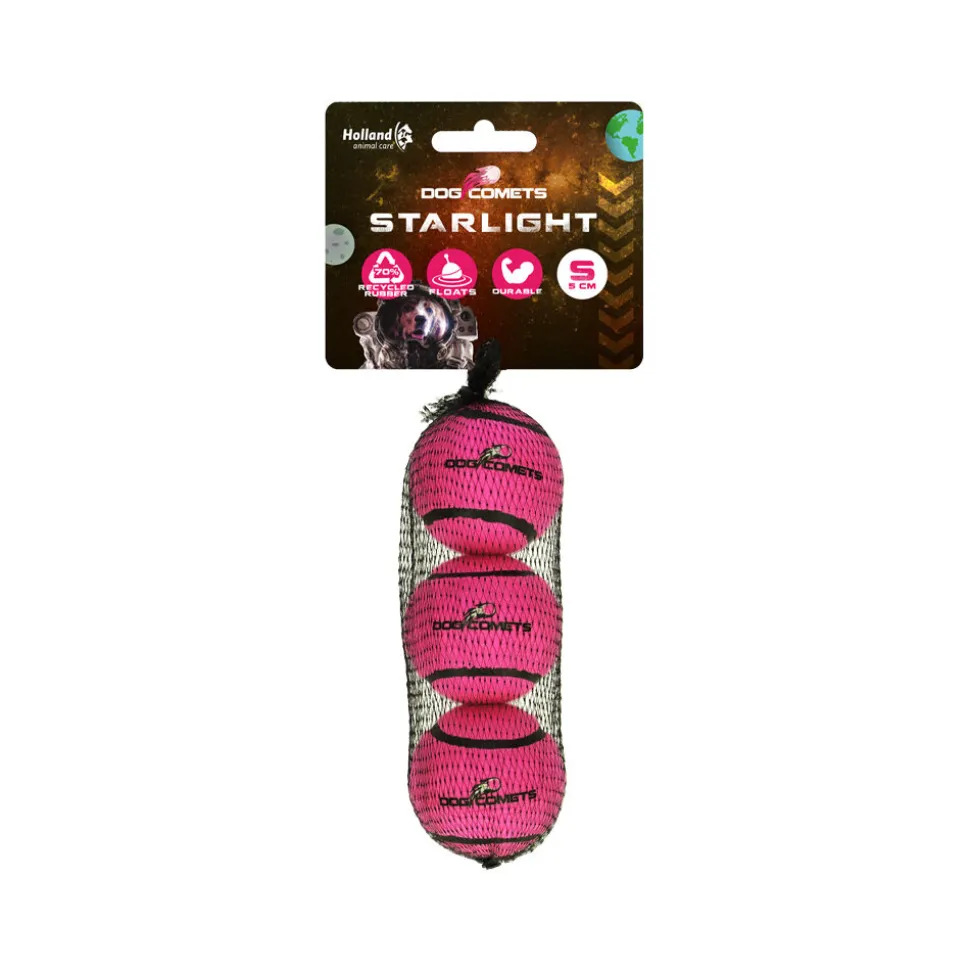 Dog Comets Starlight