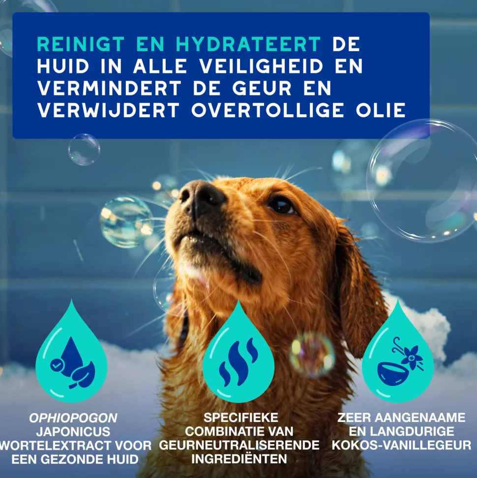 Douxo Spa Anti-geur hondenshampoo