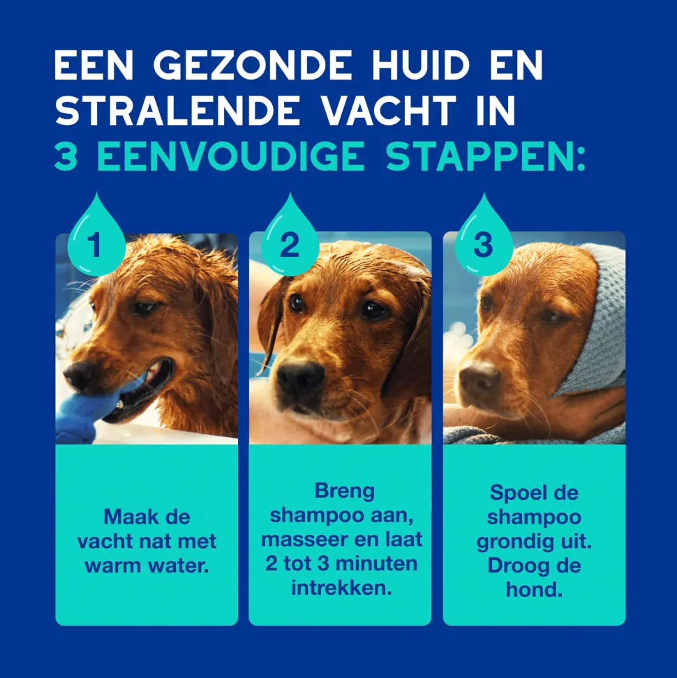 Douxo Spa Anti-geur hondenshampoo