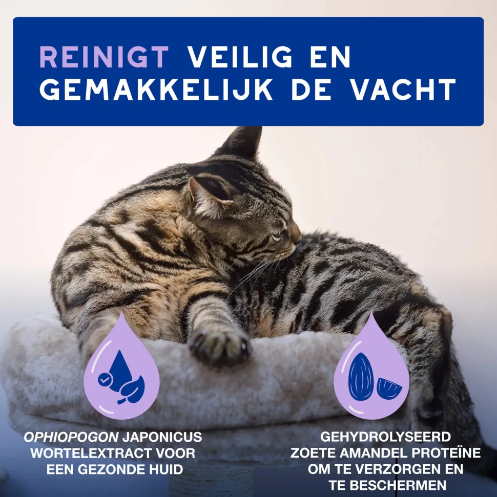 Douxo Spa Cat Mousse