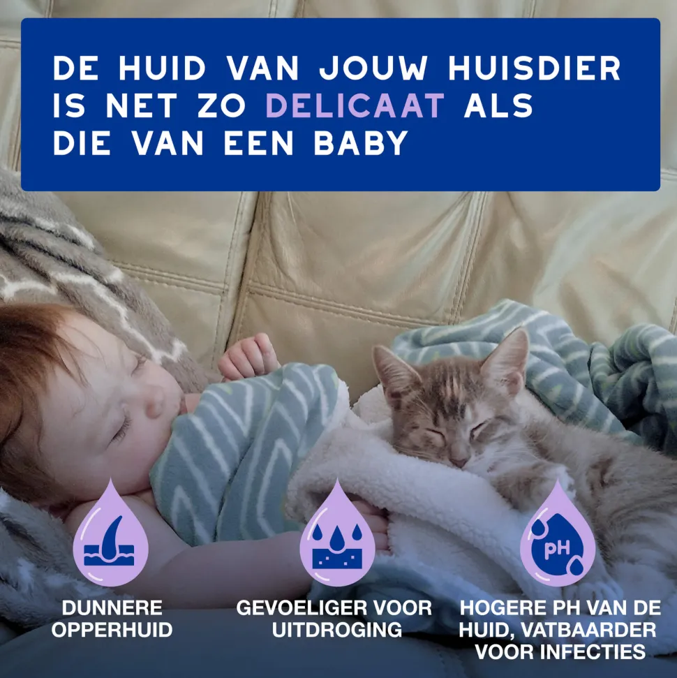 Douxo Spa Cat Mousse