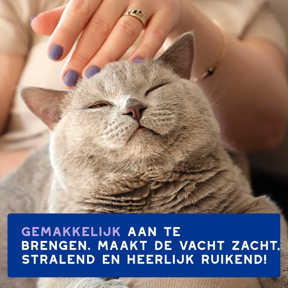 Douxo Spa Cat Mousse