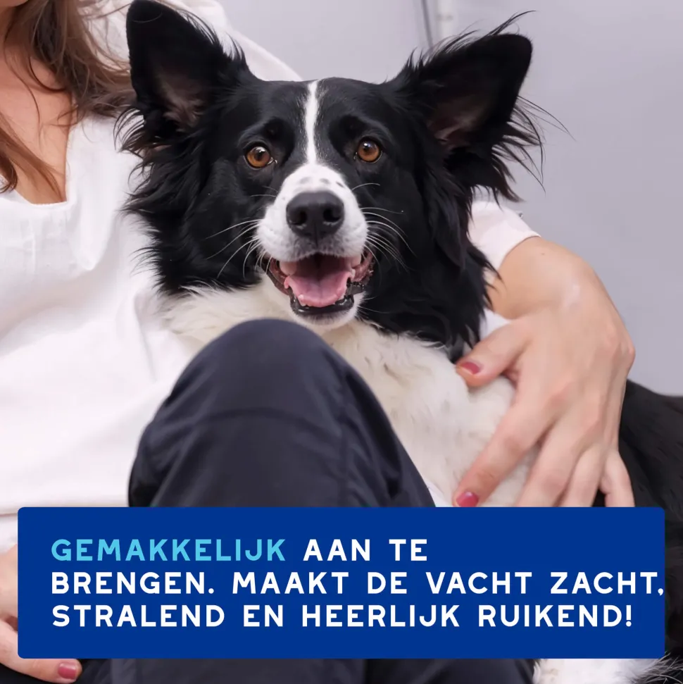 Douxo Spa Dog Mousse