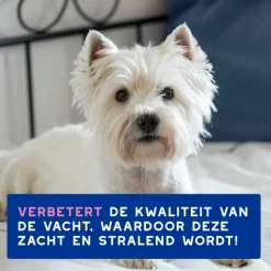 Douxo spa Shampoo bij geprikkelde huid