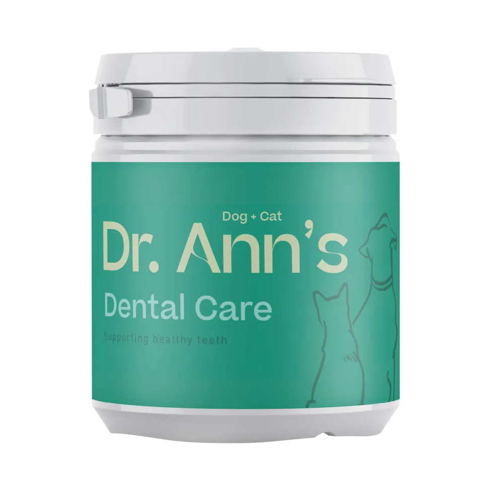 Dr. Ann's Dental Care