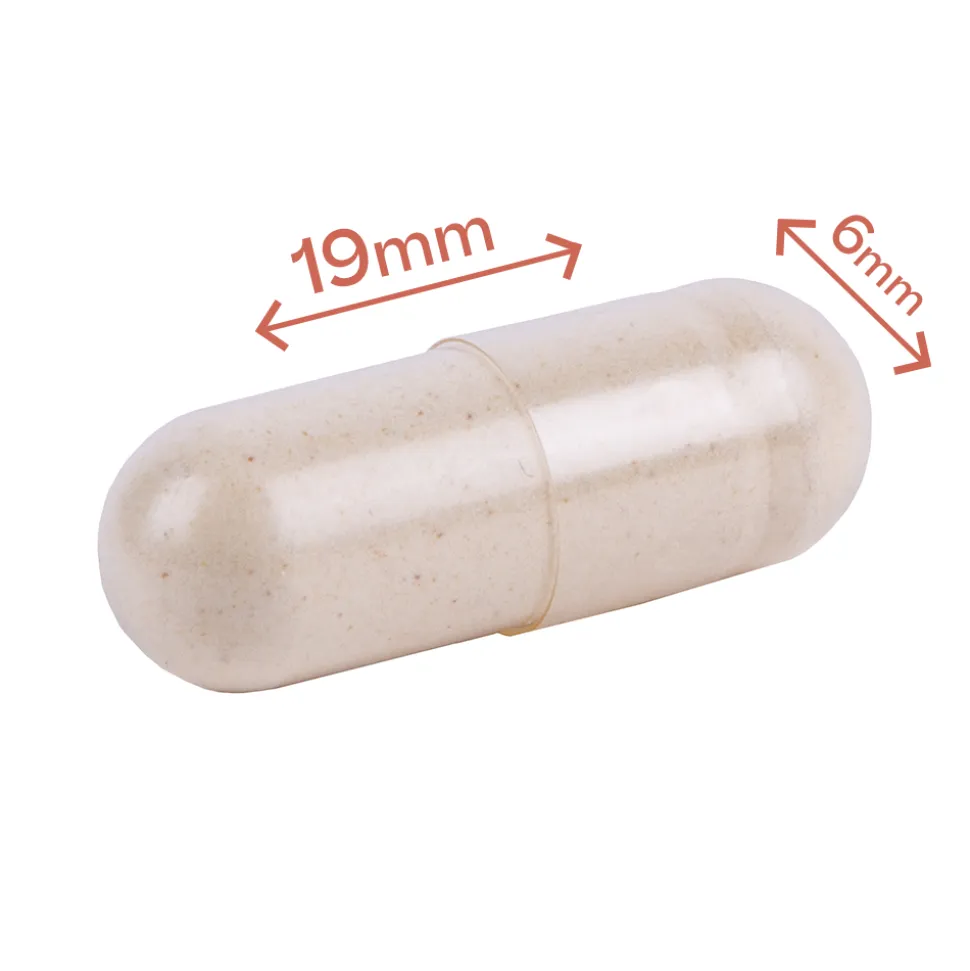 Dr. Ann's Liver Support
