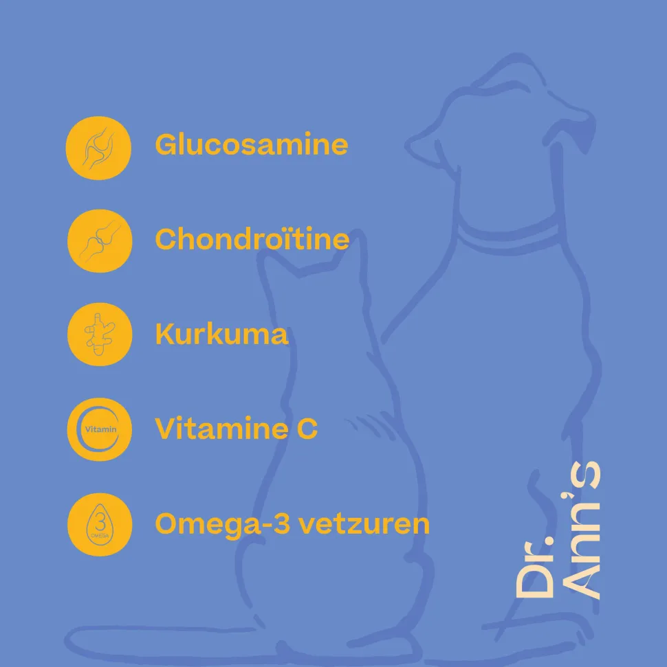 Dr. Ann's Mobility Support Plus