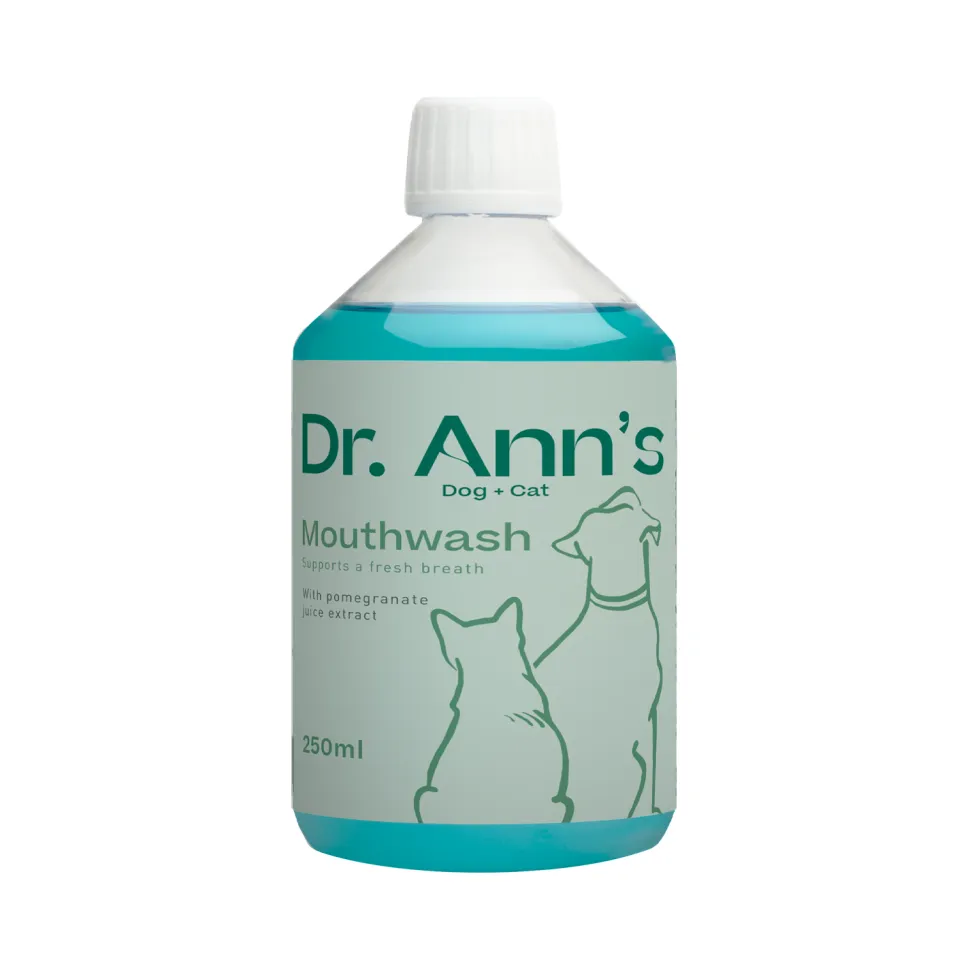 Dr. Ann's Mondwater