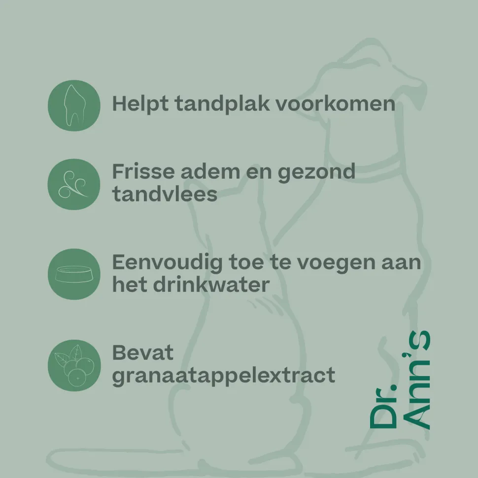 Dr. Ann's Mondwater