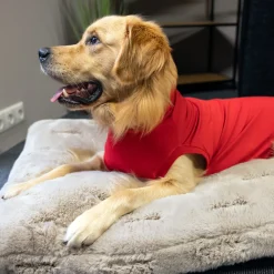 Dr. Ann's Protective Shirt Hond