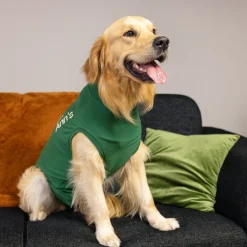 Dr. Ann's Protective Shirt Hond
