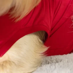 Dr. Ann's Protective Shirt Hond