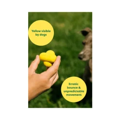 Earth Rated Fetch Toy