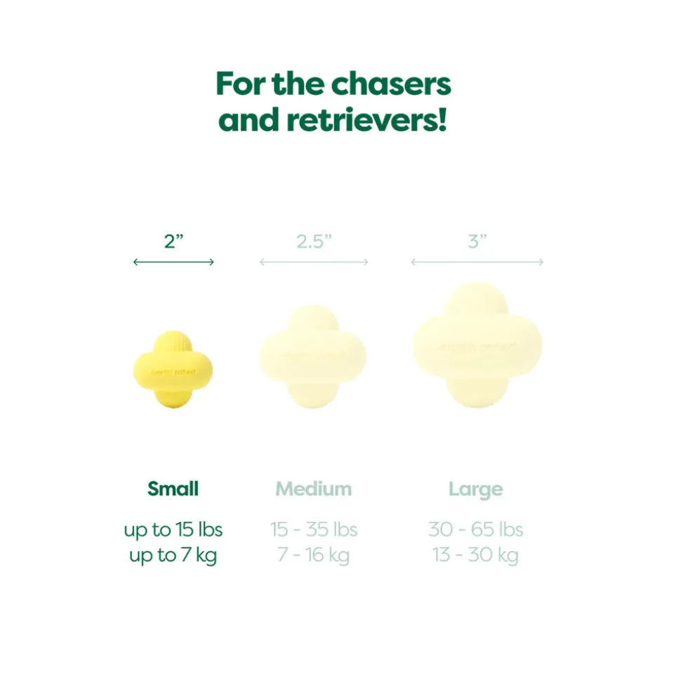 Earth Rated Fetch Toy