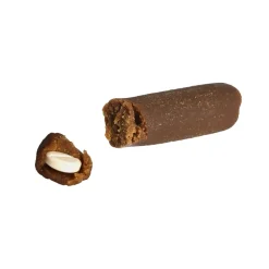 Easypill Hond