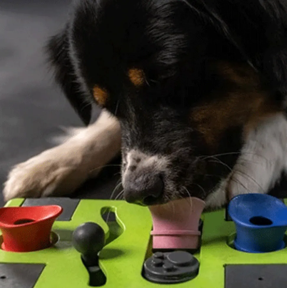 Eat Slow Live Longer Puzzle Antischrok Voerbak