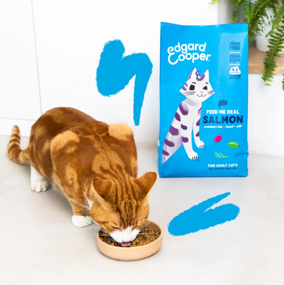 Edgard & Cooper Adult Cat - Atlantische Zalm - Kibbles