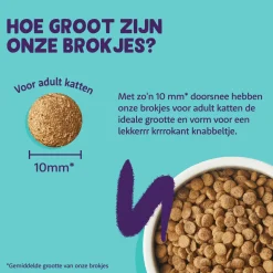 Edgard & Cooper Adult Cat - Vrije Uitloop Kalkoen en Kip - Kibbles