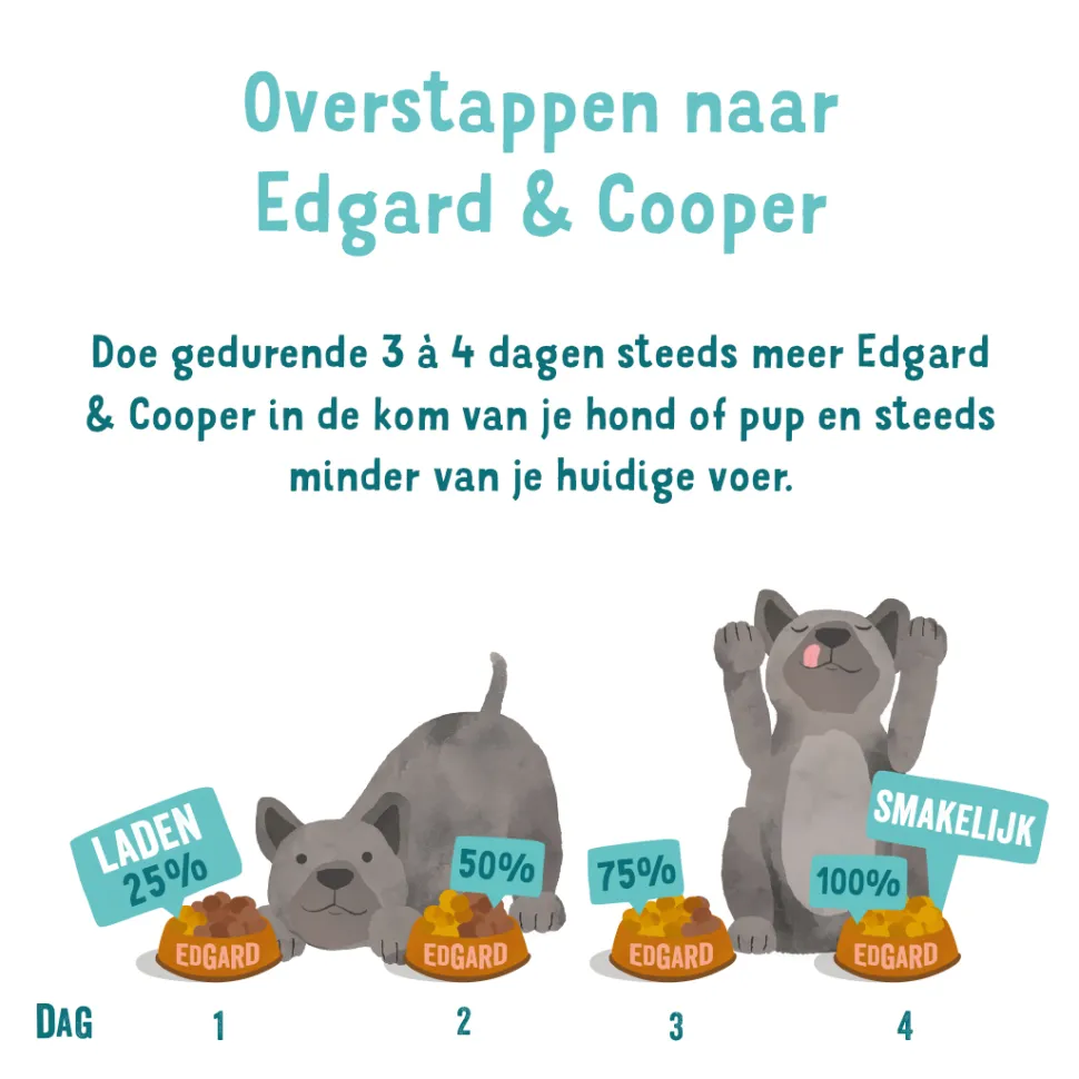 Edgard & Cooper Adult - Lam & Rund - Kuipje