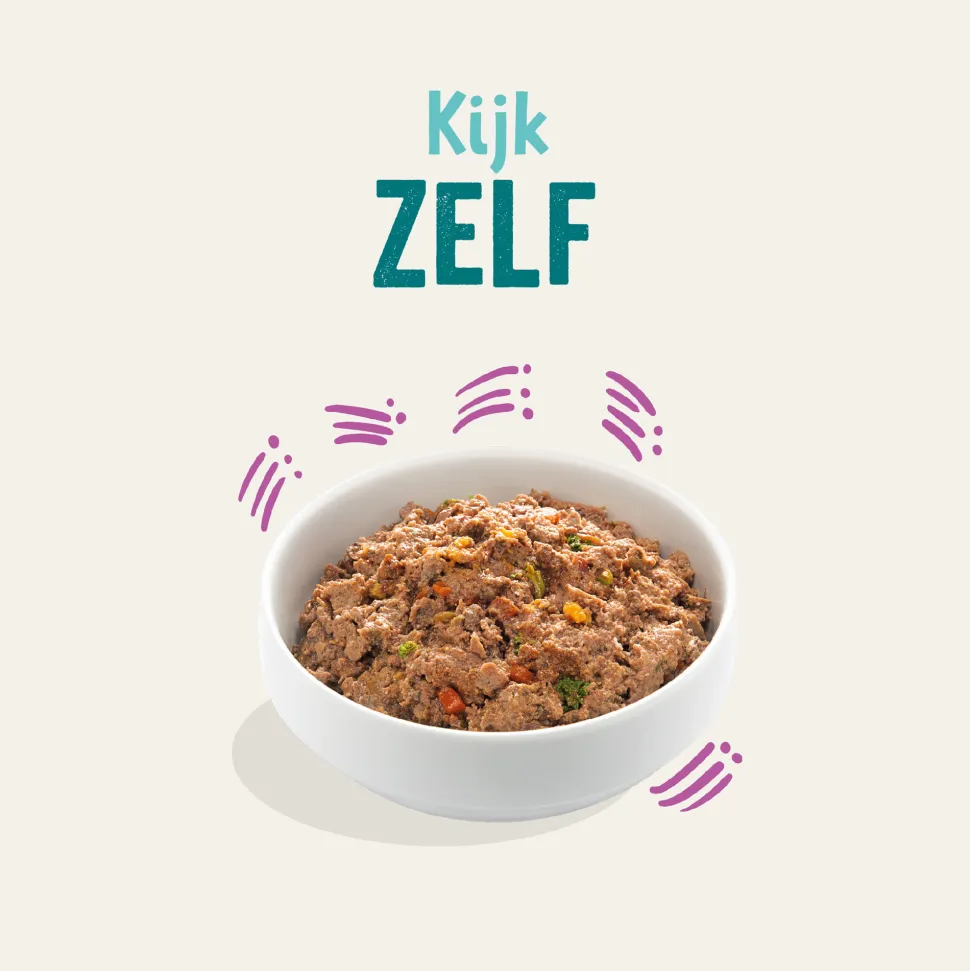 Edgard & Cooper Adult - Wild & Eend - Kuipje