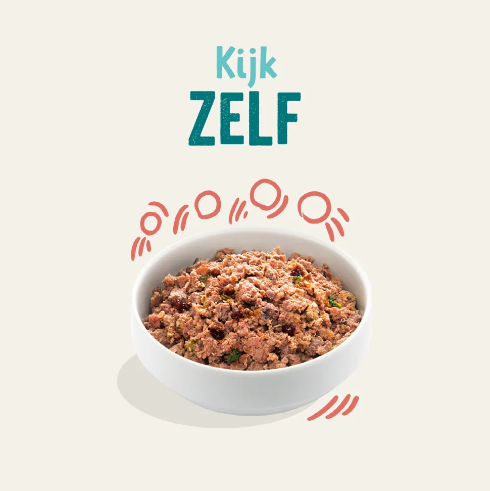 Edgard & Cooper Senior - Kip & Zalm - Blik