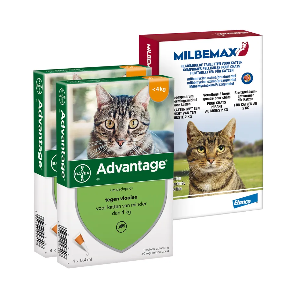Elanco Preventiepakket Binnenkat 2 - 4 kg