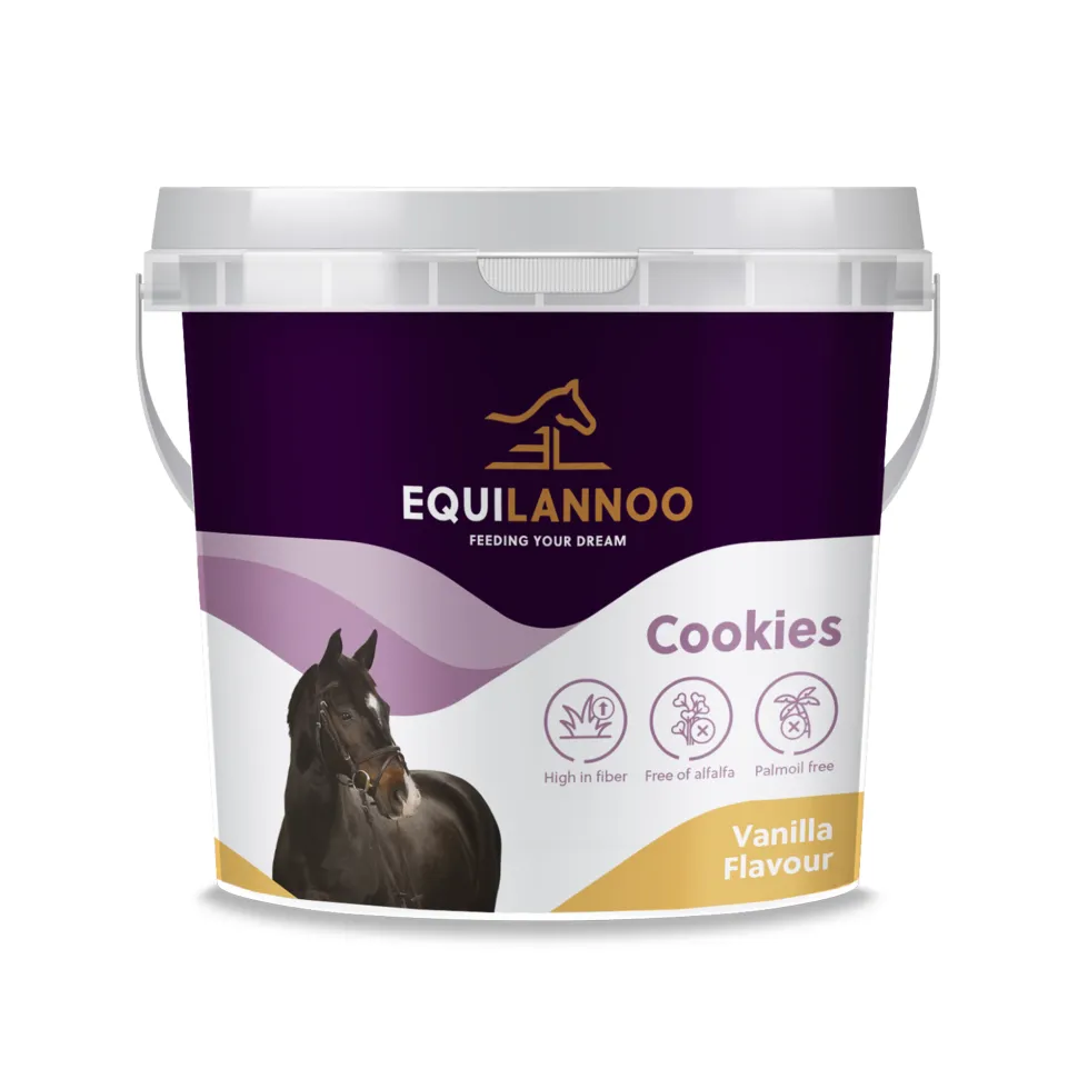 Equilannoo Cookies Vanilla Flavour