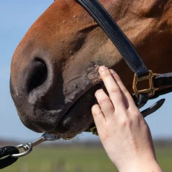 Equi Protecta Paardenzalf