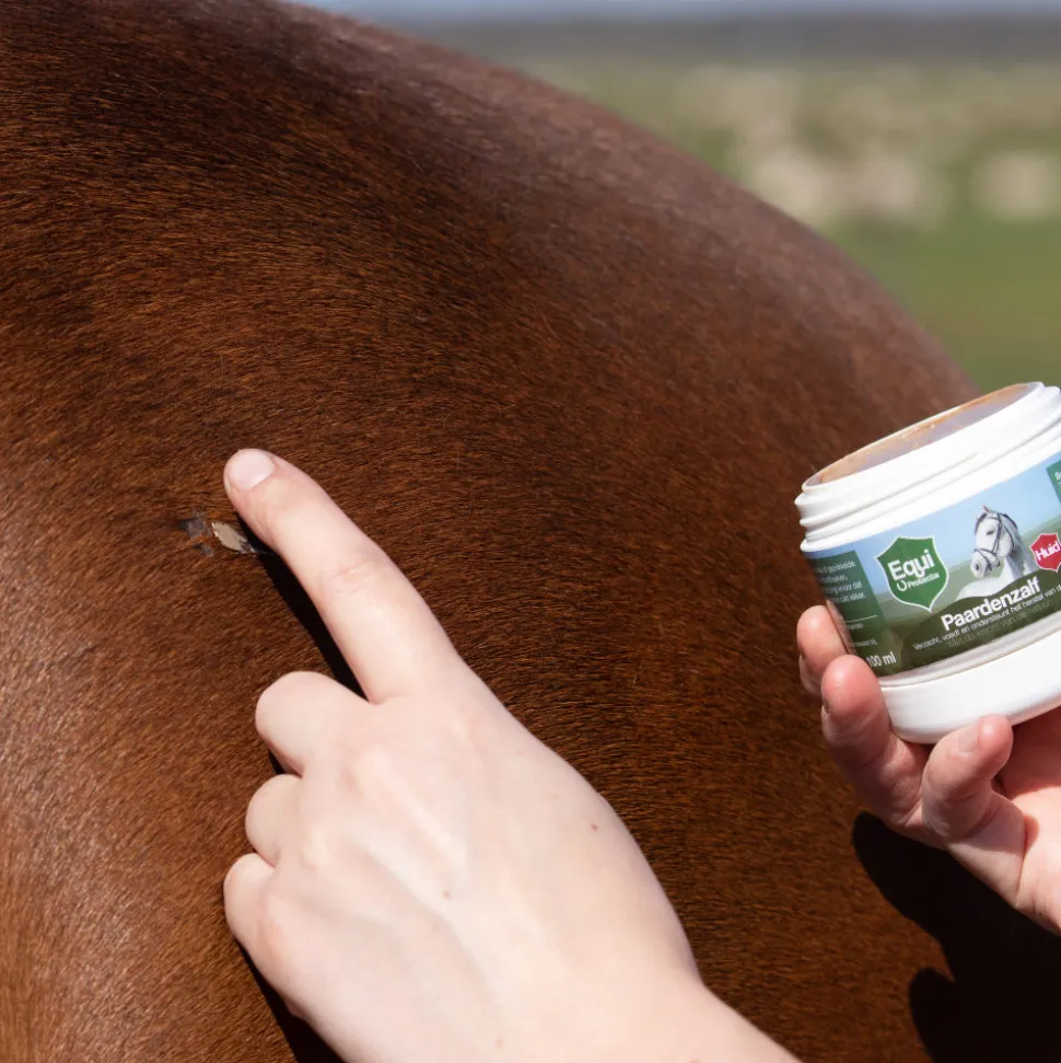 Equi Protecta Paardenzalf
