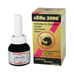 eSHa 2000