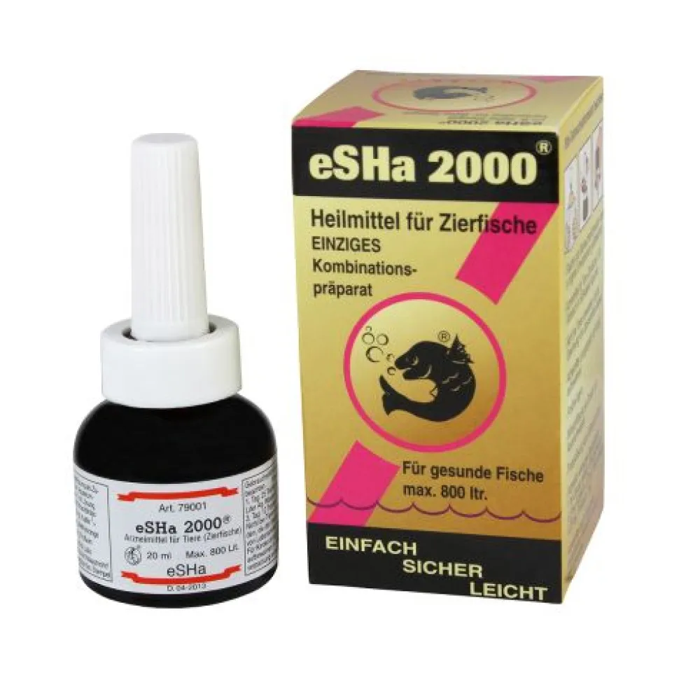 eSHa 2000