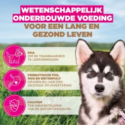 Eukanuba Dog Puppy & Junior Large Grainfree Hondenvoer