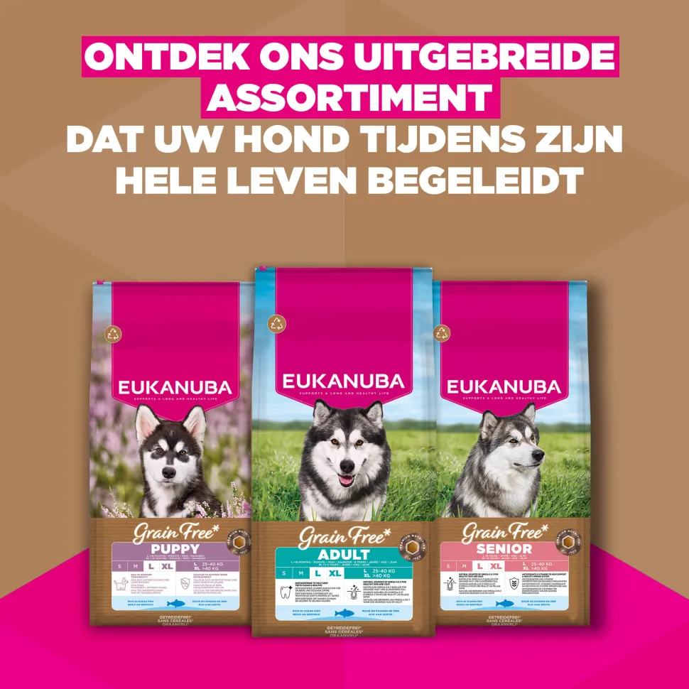 Eukanuba Dog Puppy & Junior Large Grainfree Hondenvoer