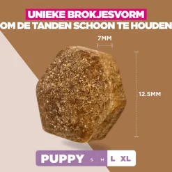 Eukanuba Dog Puppy & Junior Large Grainfree Hondenvoer