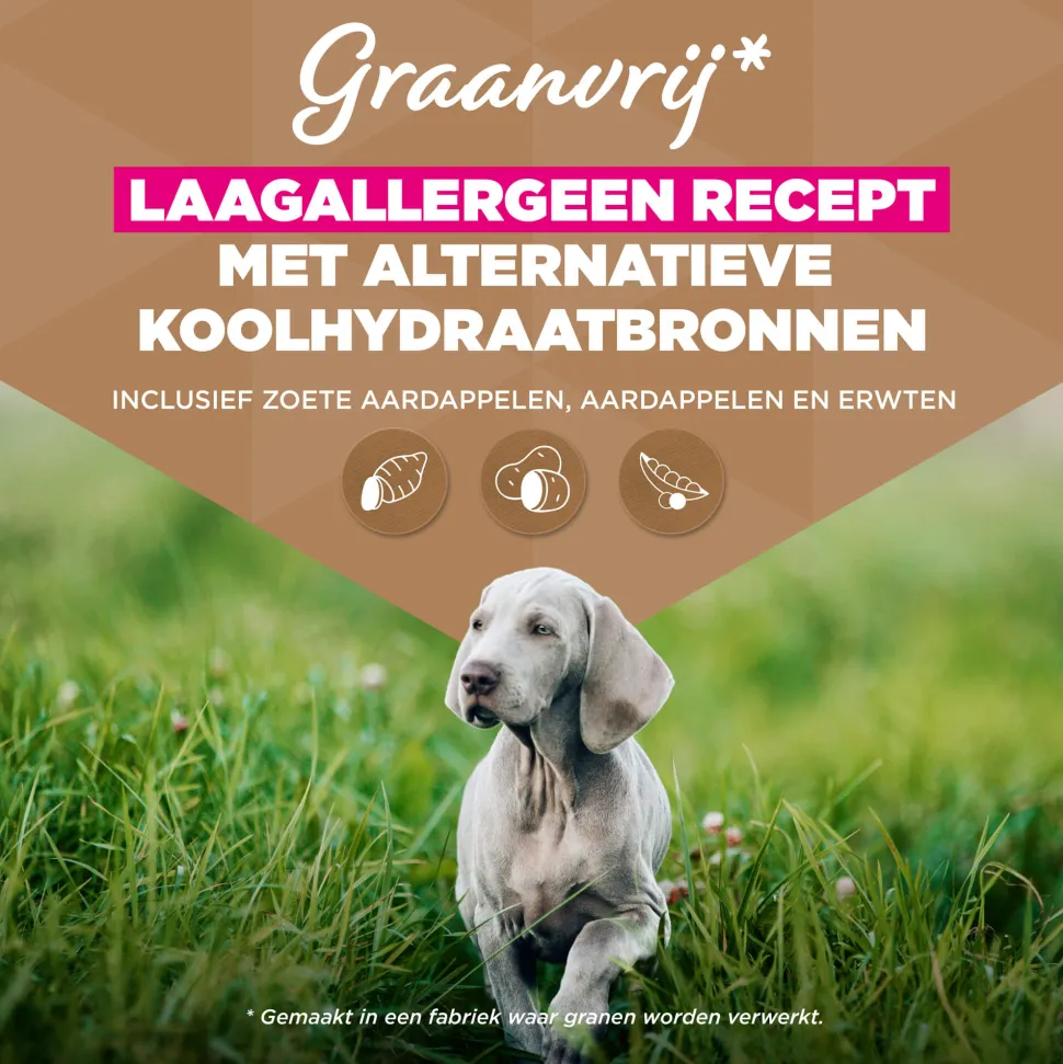 Eukanuba Dog Puppy & Junior Large Grainfree Hondenvoer