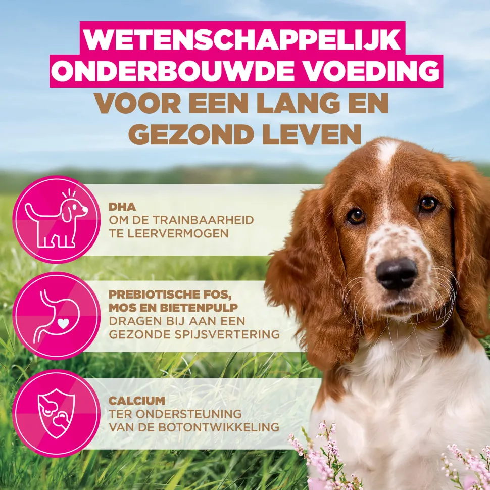 Eukanuba Dog Puppy Small/Medium Grainfree Hondenvoer